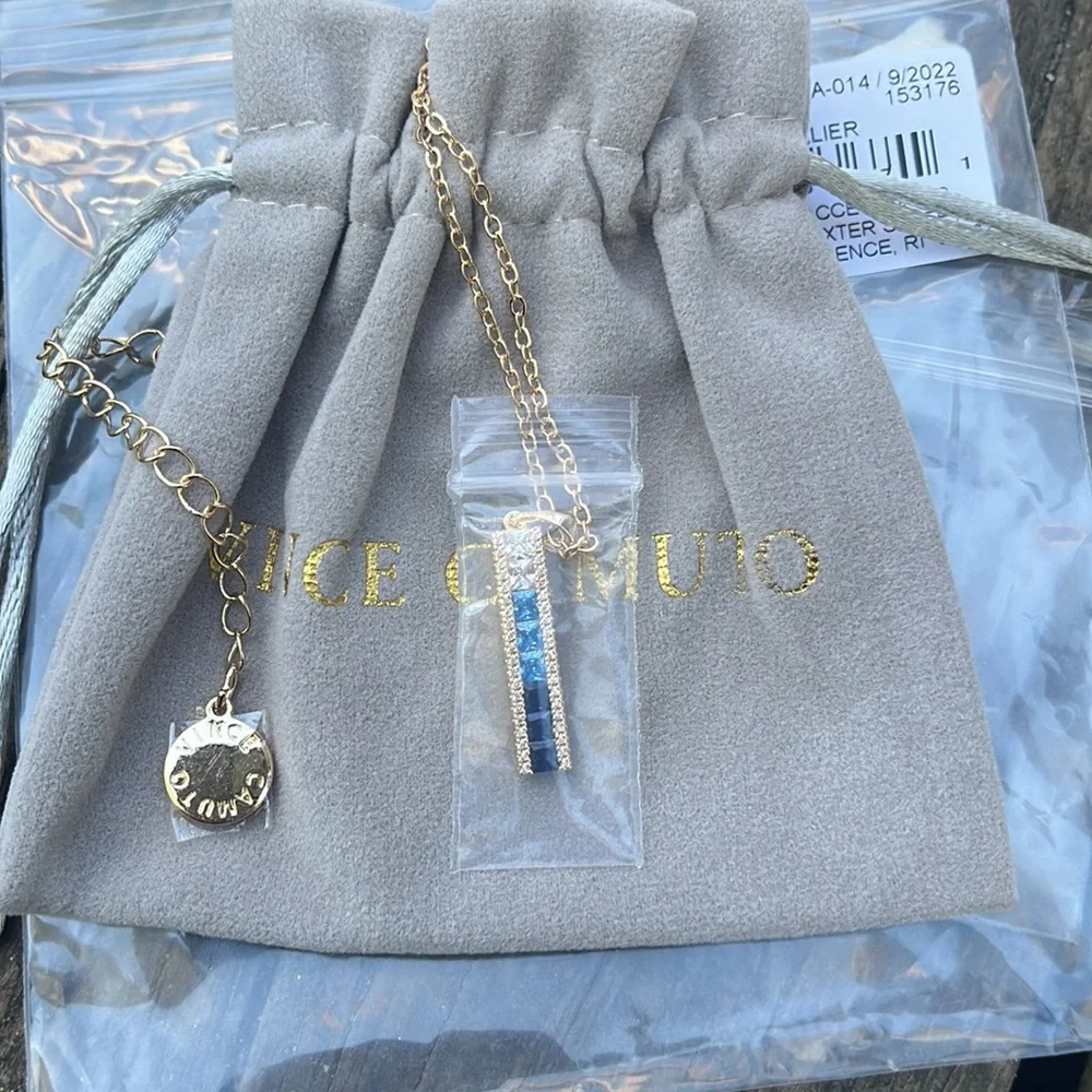 NWT VINCE CAMUTO BLUE OMBRÉ CZ NECKLACE - Picture 5 of 9